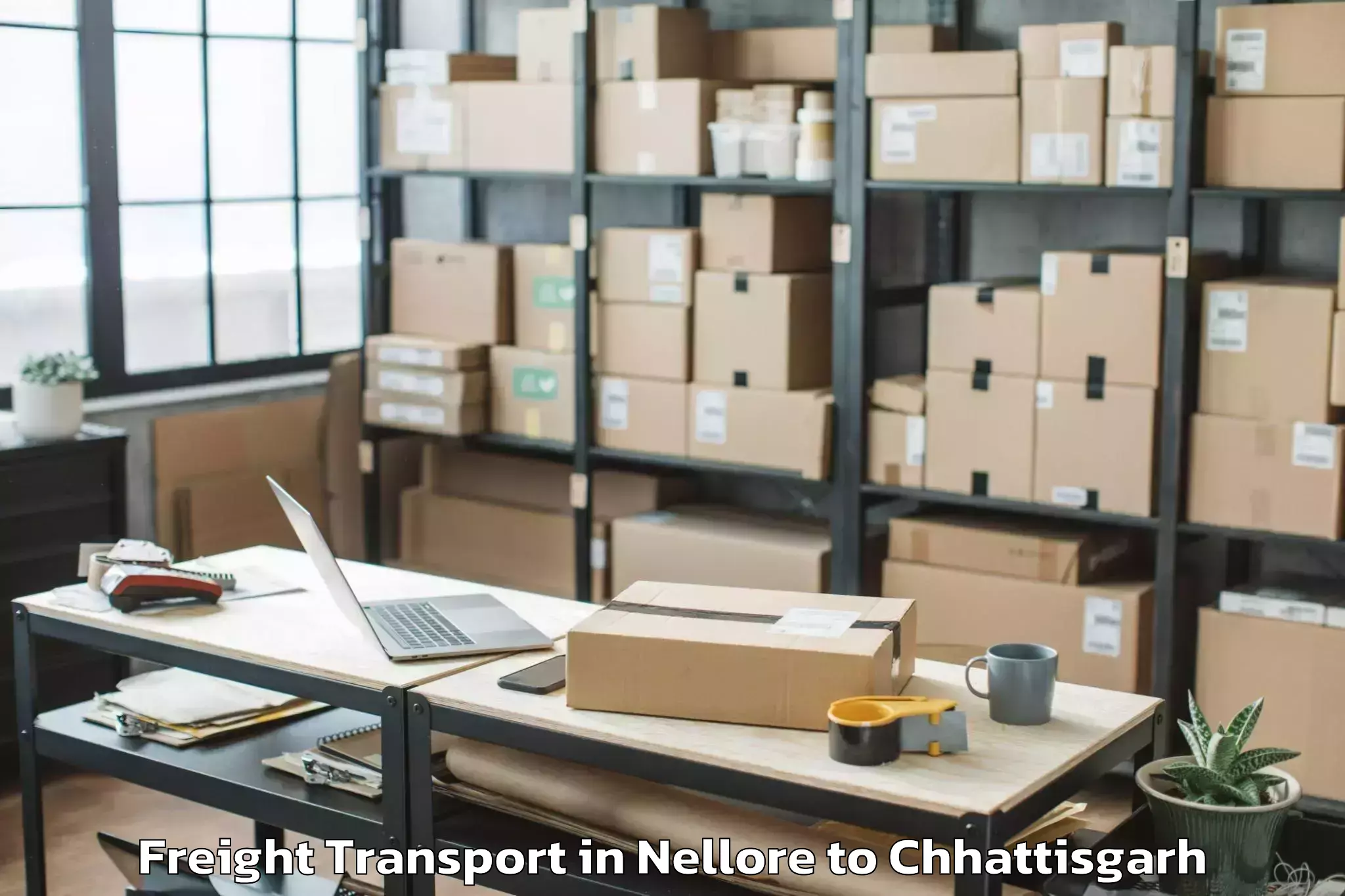 Affordable Nellore to Abhilashi University Raipur Freight Transport